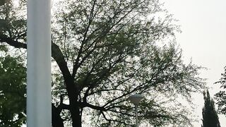 Beautiful Japanese Park in Islamabad