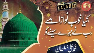 Kya khoob Nawaza Hai Rab Ny Mery Seeny Ko | Muhammad Ali Sultan