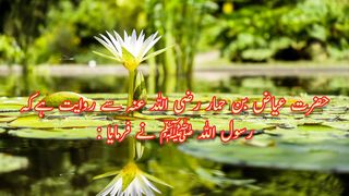 ABU DAWOOD 1709