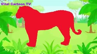 Colour full animal .Tiger.Camel.goat.horse.bear