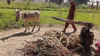 New technology work