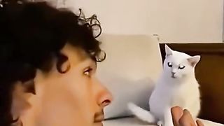 funny animal / funny cats and dogs/ funniest animals shorts