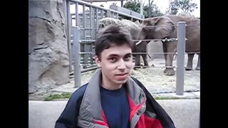 Me at the zoo 20K upscaled viral video