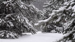 Snowfall| relaxing sound.