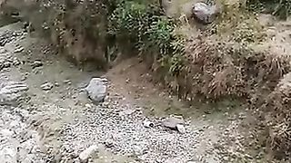 Leopard vs man fight