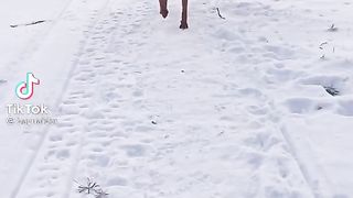 a very, very smart dog.