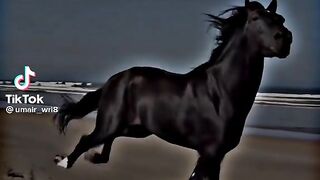New vid