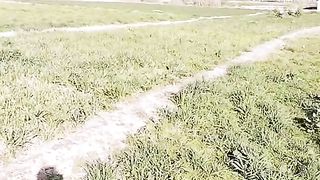 Village video pakistani village shamsabad attock