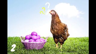 Different Colored Eggs in The chicken Basket
