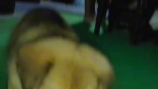 O zehan tey saaf rkho apna pai