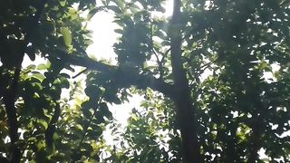 Beautiful  My. Kitchen Garden
