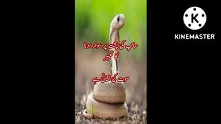 خواب کا تعبیر