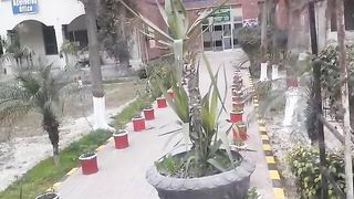NFC horticulture efforts
