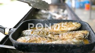 fish fry
