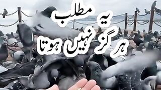Urdu poetry