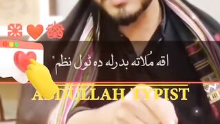 mujeeb zalmi