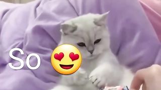 Funny video in 2023????????