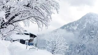Nature beauty