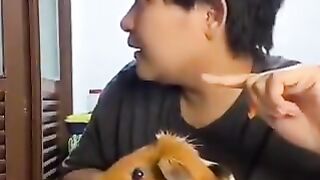 What happend