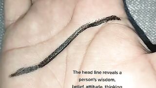 BRAIN LINE |Palmistry001| Palmist