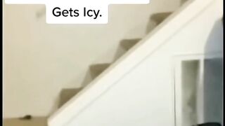 Funny Satisfying Cat videos