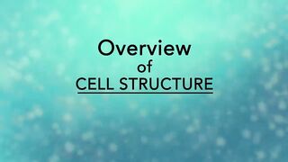 Biology: Cell Structure