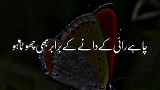 Farman e Allah