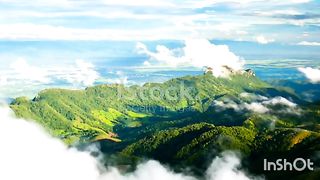 beautiful nature