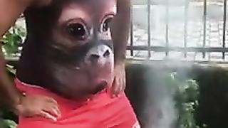 Funney video