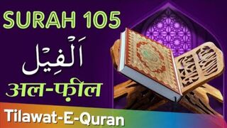 Quran Surah Al-Fil | By Sheikh Atta Ur Rahman | Full With Arabic Text | 105-سورۃالفیل