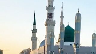 NAAT E PAK