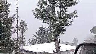 Snowy
