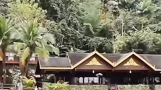 Peacock dance