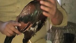 shani video