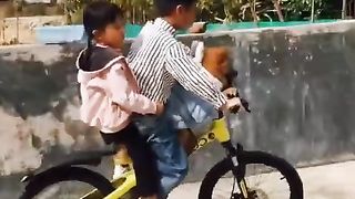 Dog Enjoying ride