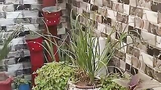 Repotting plant and decorations ideas