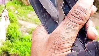 Pigeon Feather Cutting