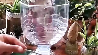 Amazing handmade follower pot crafting