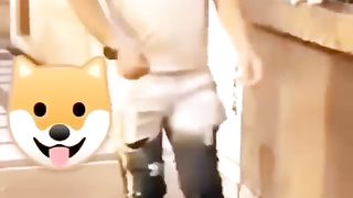 Animales que vencieron el sistema ????????.