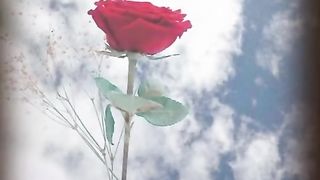 Dil mang raha muhlat