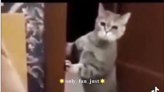#shorts #youtubeshorts