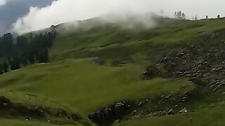 Ajk vilogs
