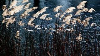 Poetry in urdu islamic 2023 Achi Baatein Insan Ki Zindagi Badl Ne Wali Baatein
