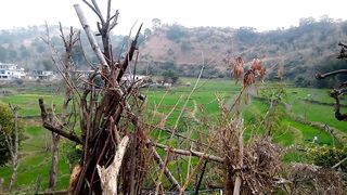 Village beauty