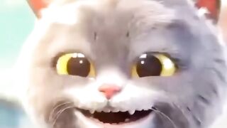 Cute cat ????