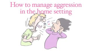 Managing Violent Aggression at Home - VIMHANS (Hindi)