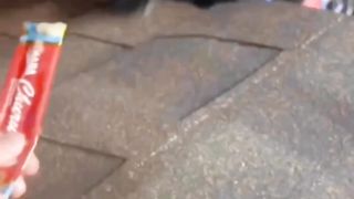 dirty cat