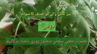Paid lagane wale ko Sadqe Ka sawab #tree #save greenary #