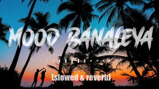 Amruta Fadnavis : Mood Banaleya [Slowed & Reverb]