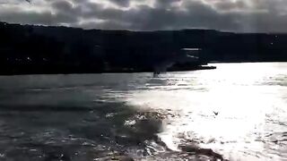 Great scene